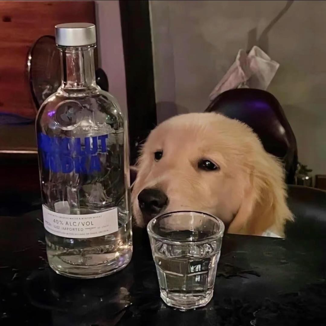 Mortal　󠀀󠀀󠀀󠀀󠀀󠀀