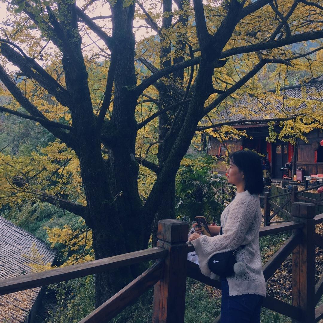 孙真好