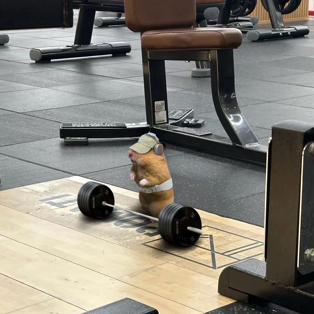 一个s假装m被s打然后反手和她互殴