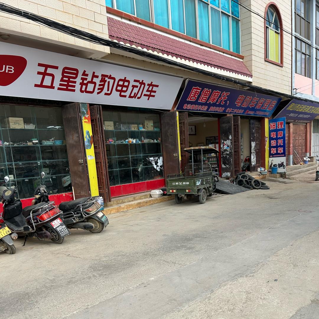 保山东城五星钻豹