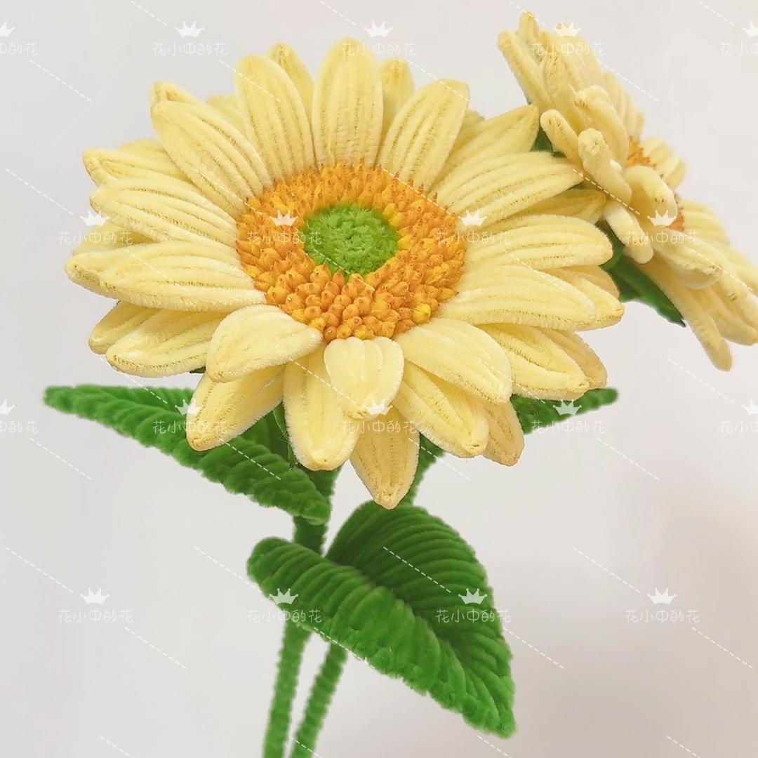 花小中的花