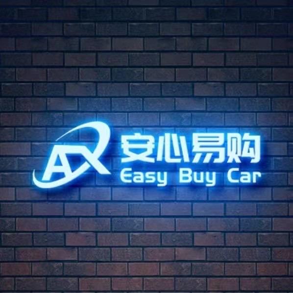 宝总新能源（安心车行）