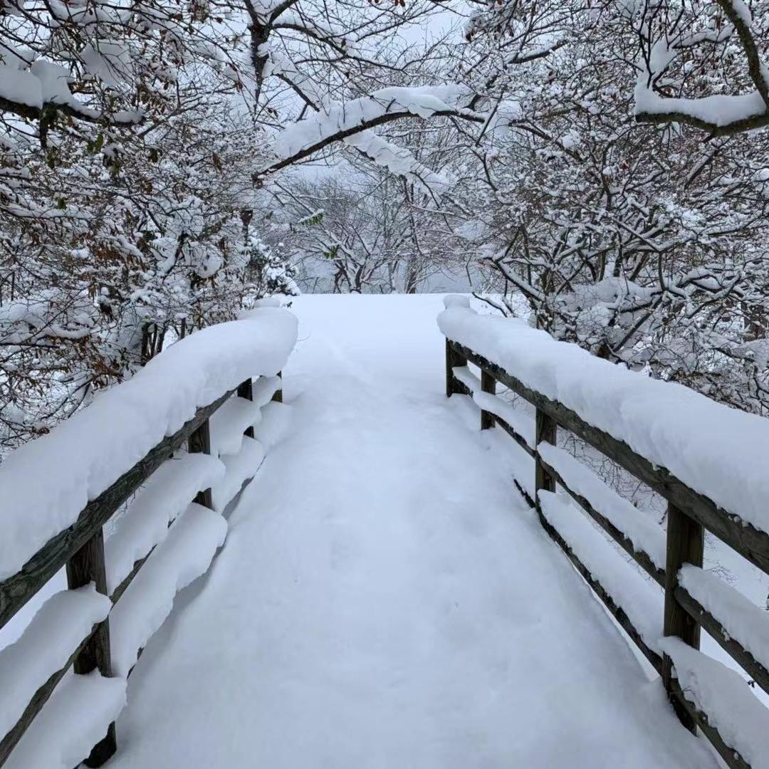 💕💕单身妈妈