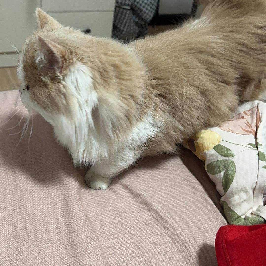 ☹️☹️☹️☹️