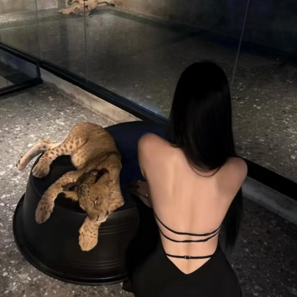 芝麻馅流心汤圆