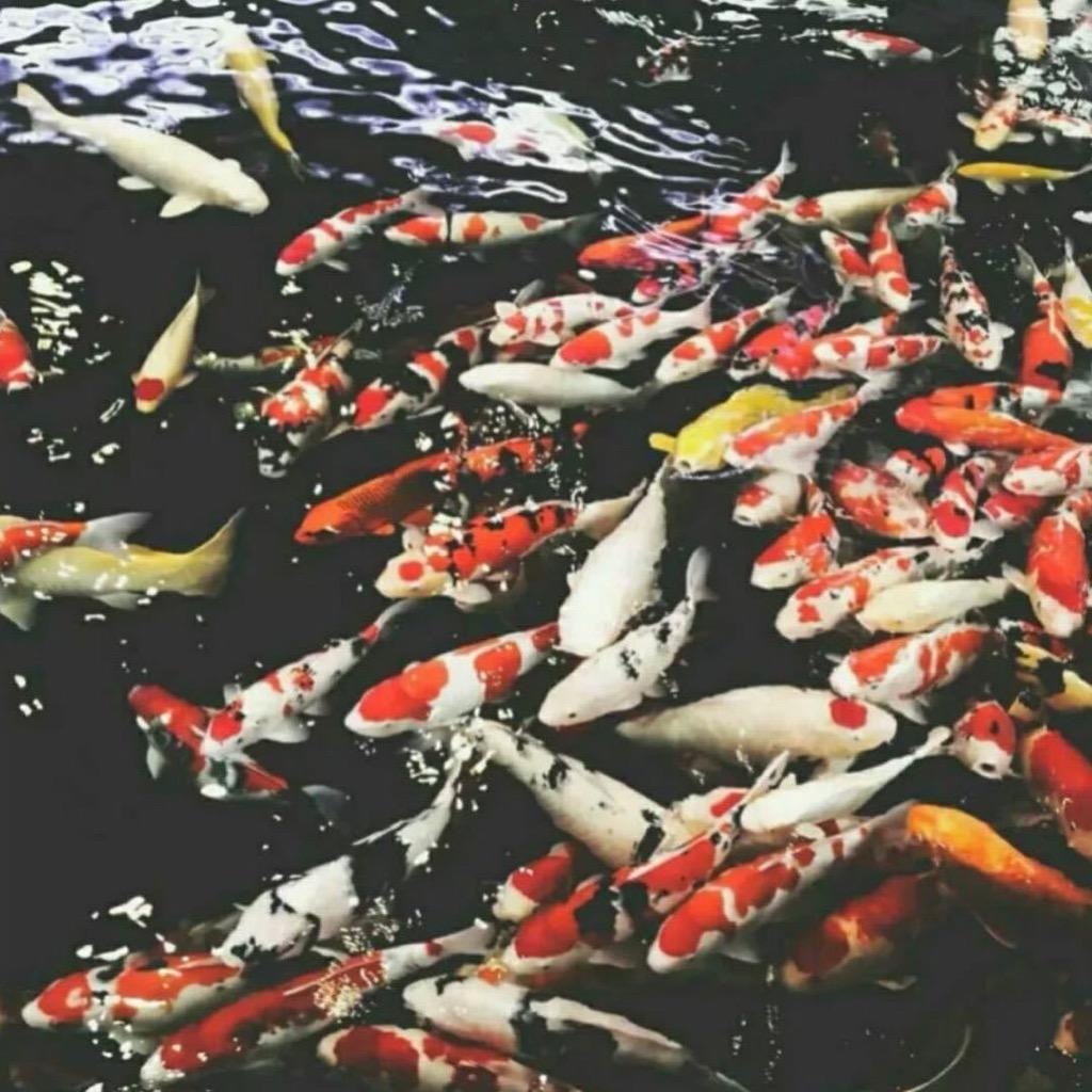 不讲当年情.