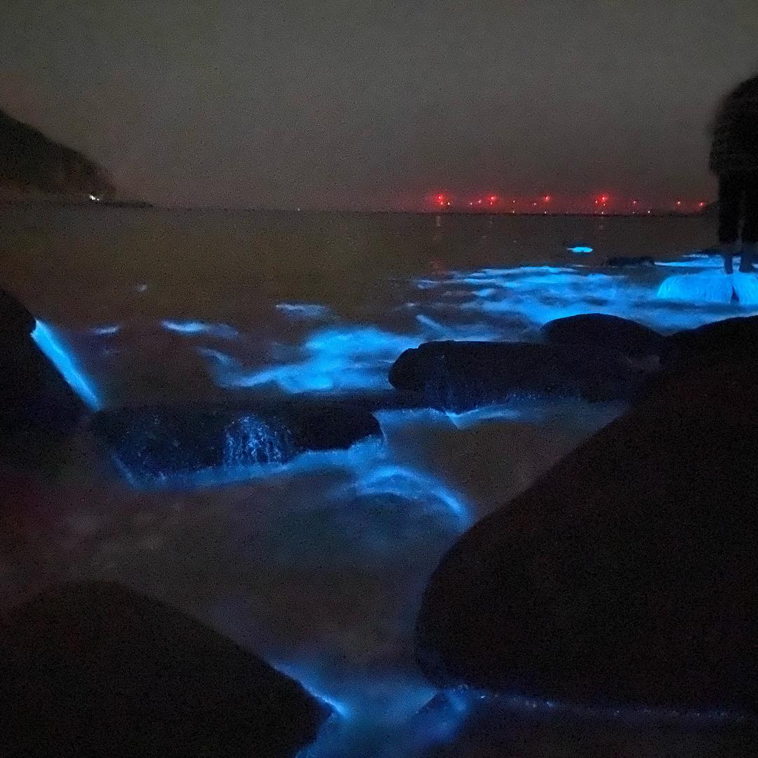 啦啦啦啦啦啦啦啦噜啦