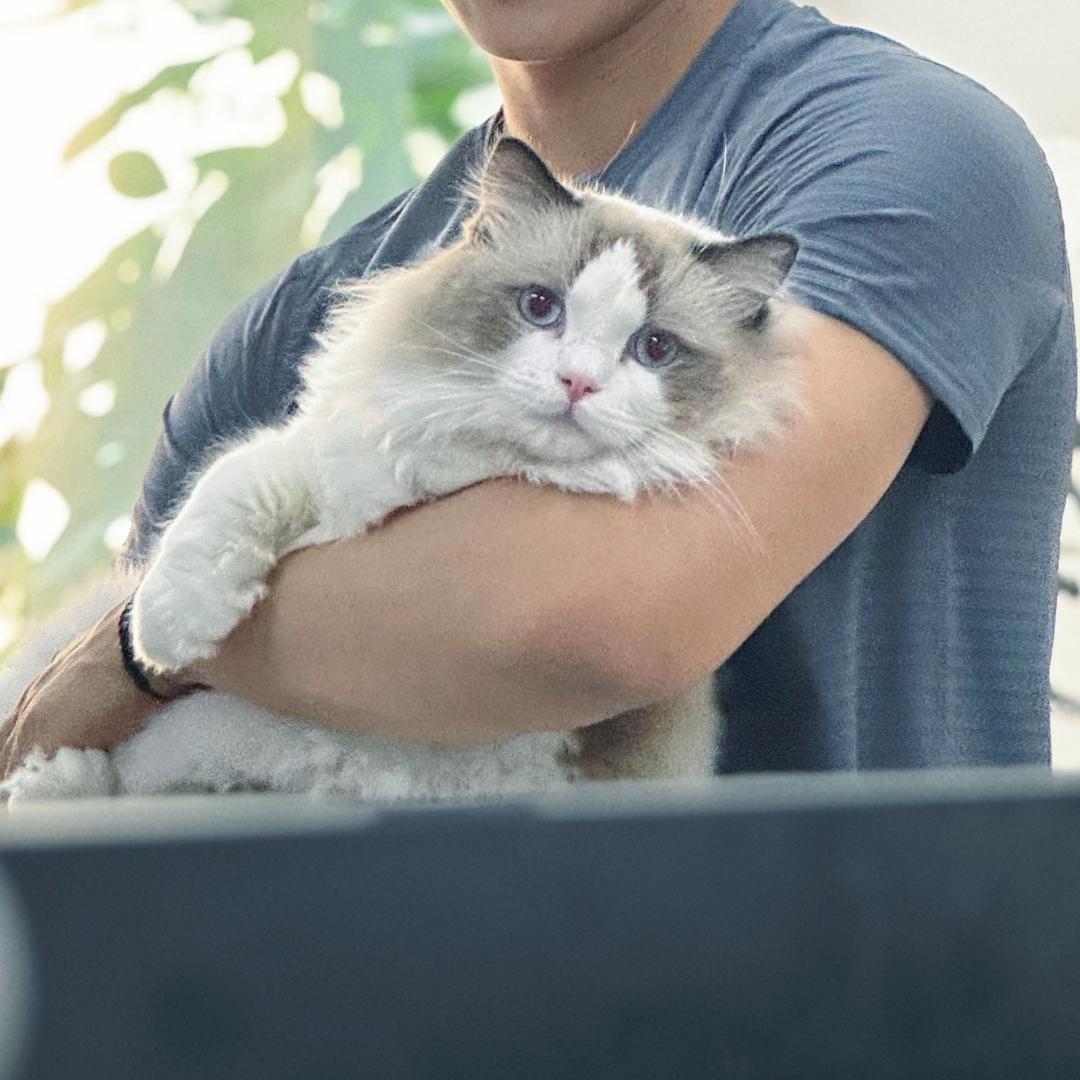 板栗啊