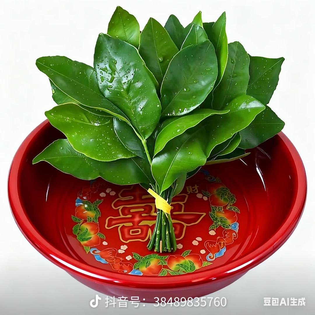 吃汉堡只吃汉堡皮