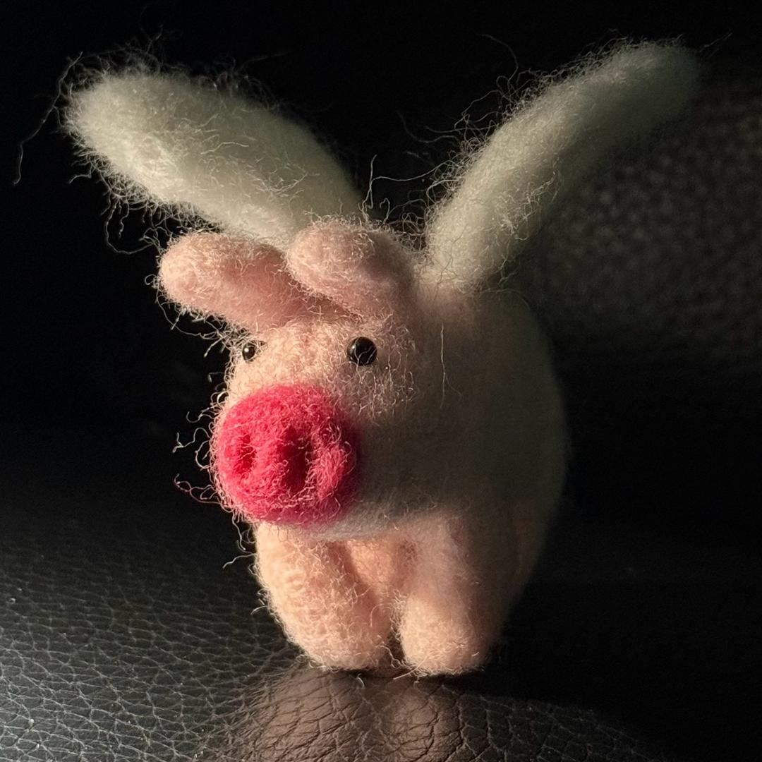 15🐽