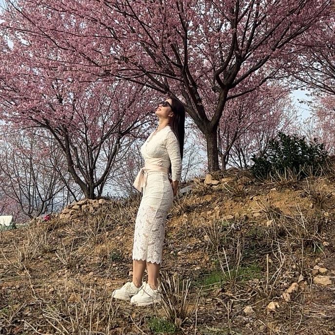 小蜜蜂