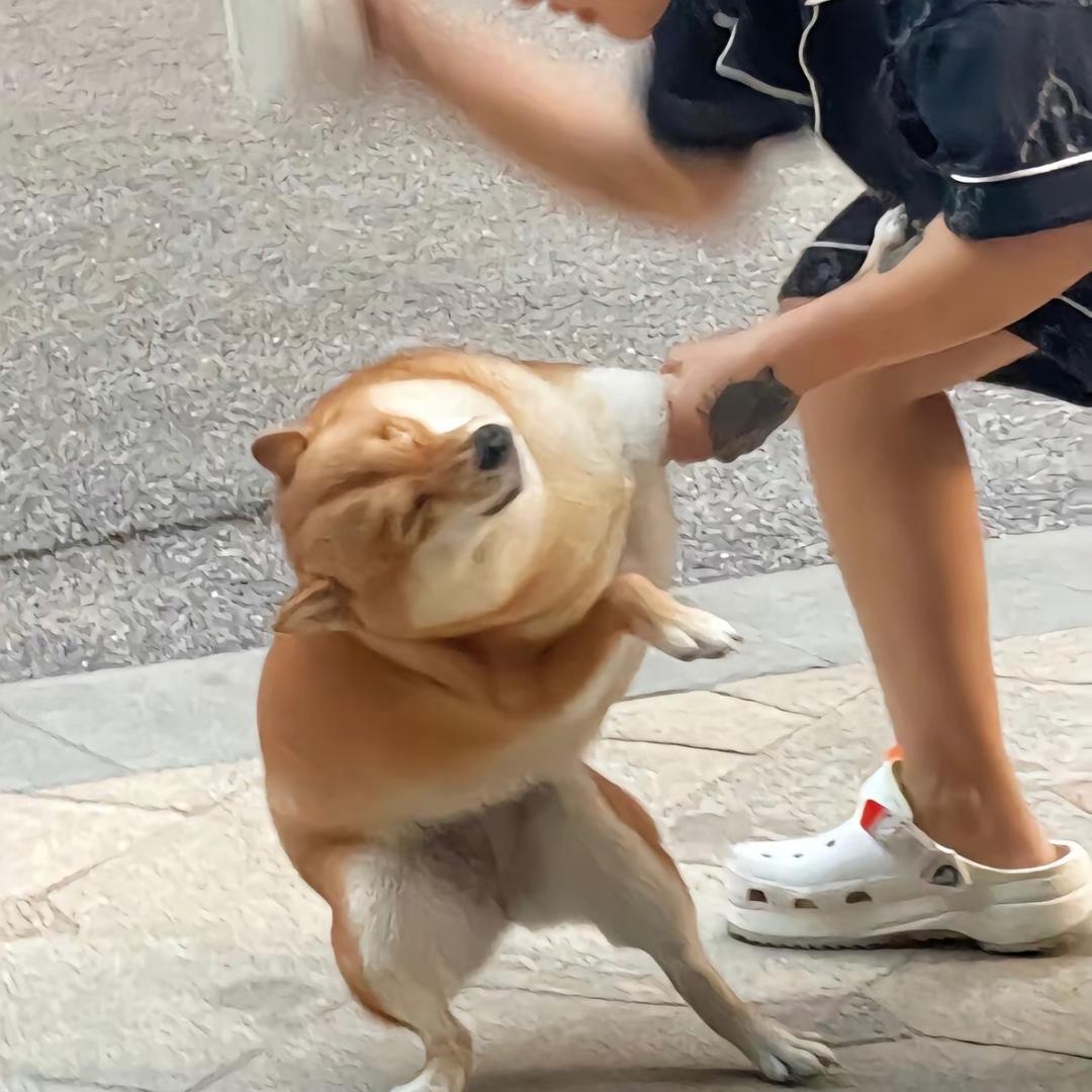 🙀.