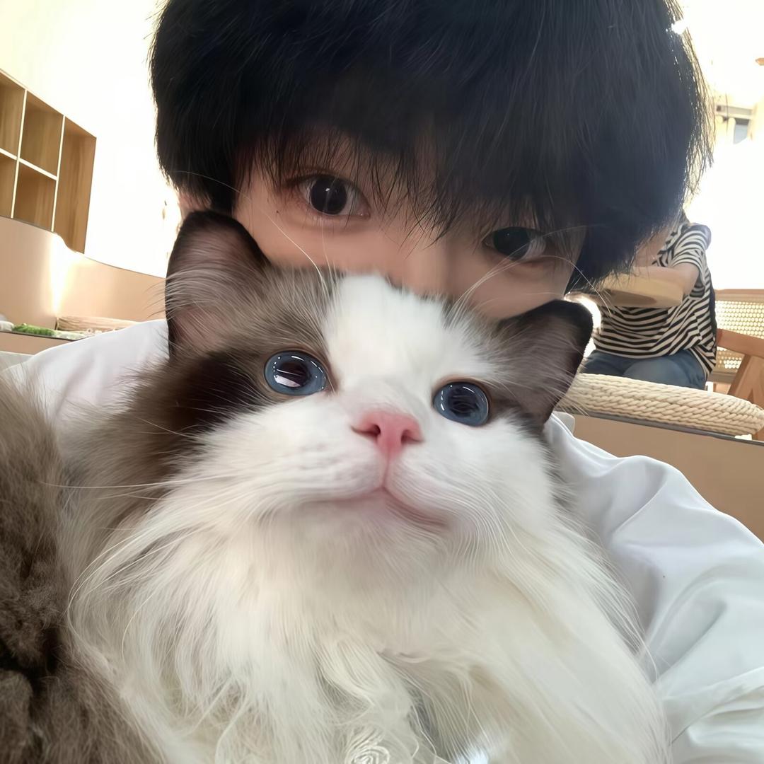 鲨鱼🦈.（三角洲行动）