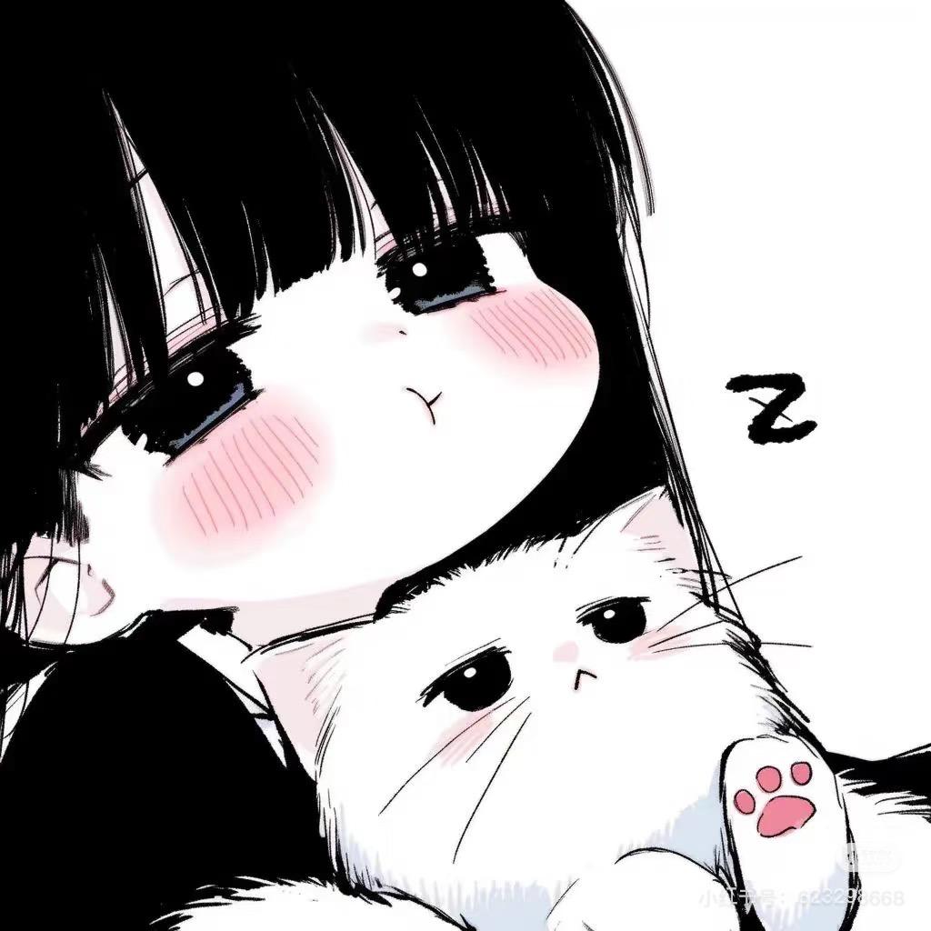 懒懒大王的小鲨鱼