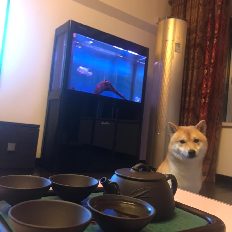 峰迴