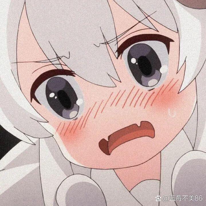 草莓不感冒