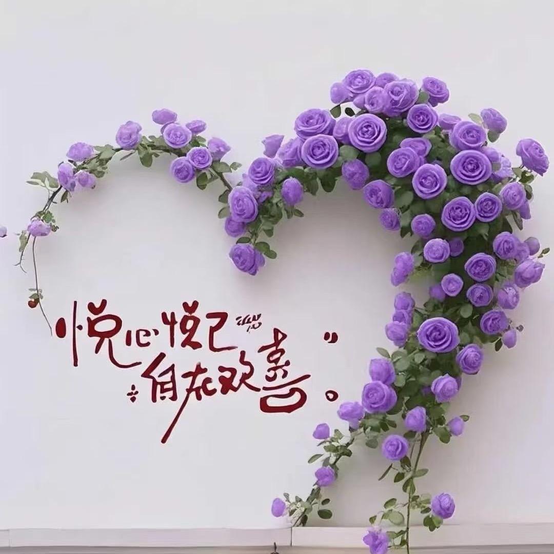 🌹兜兜有糖🍖