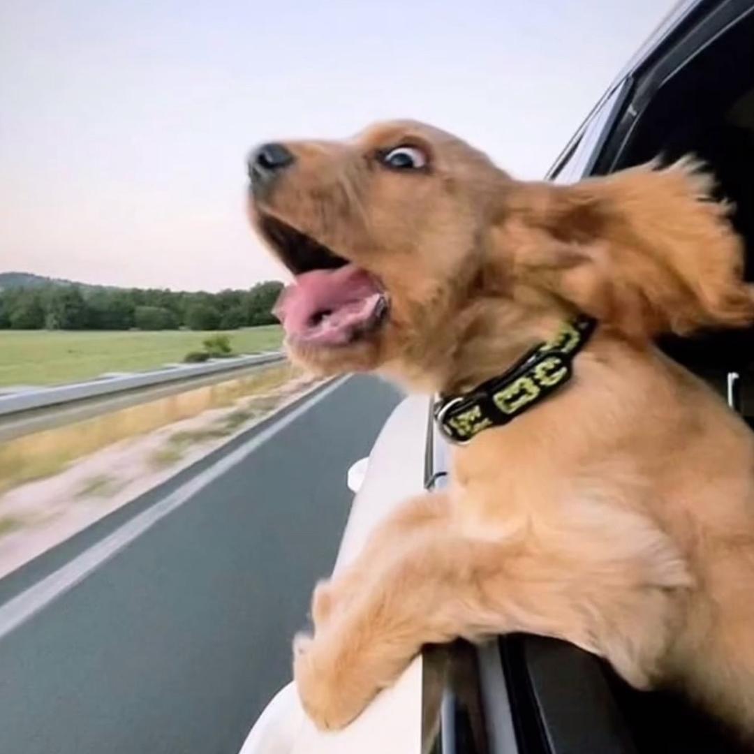 我太困！！！（还在想🥚）