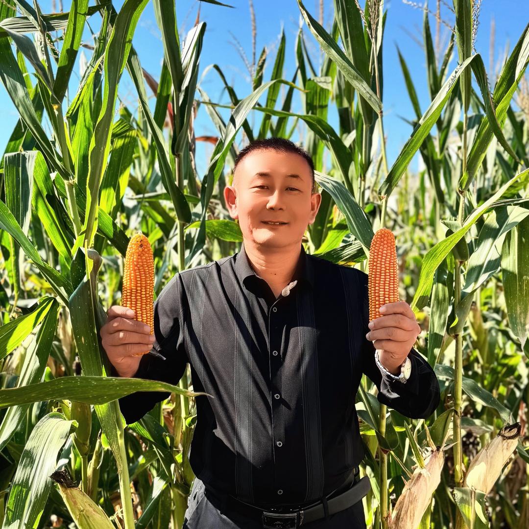 绳哥聊农业（直播号）