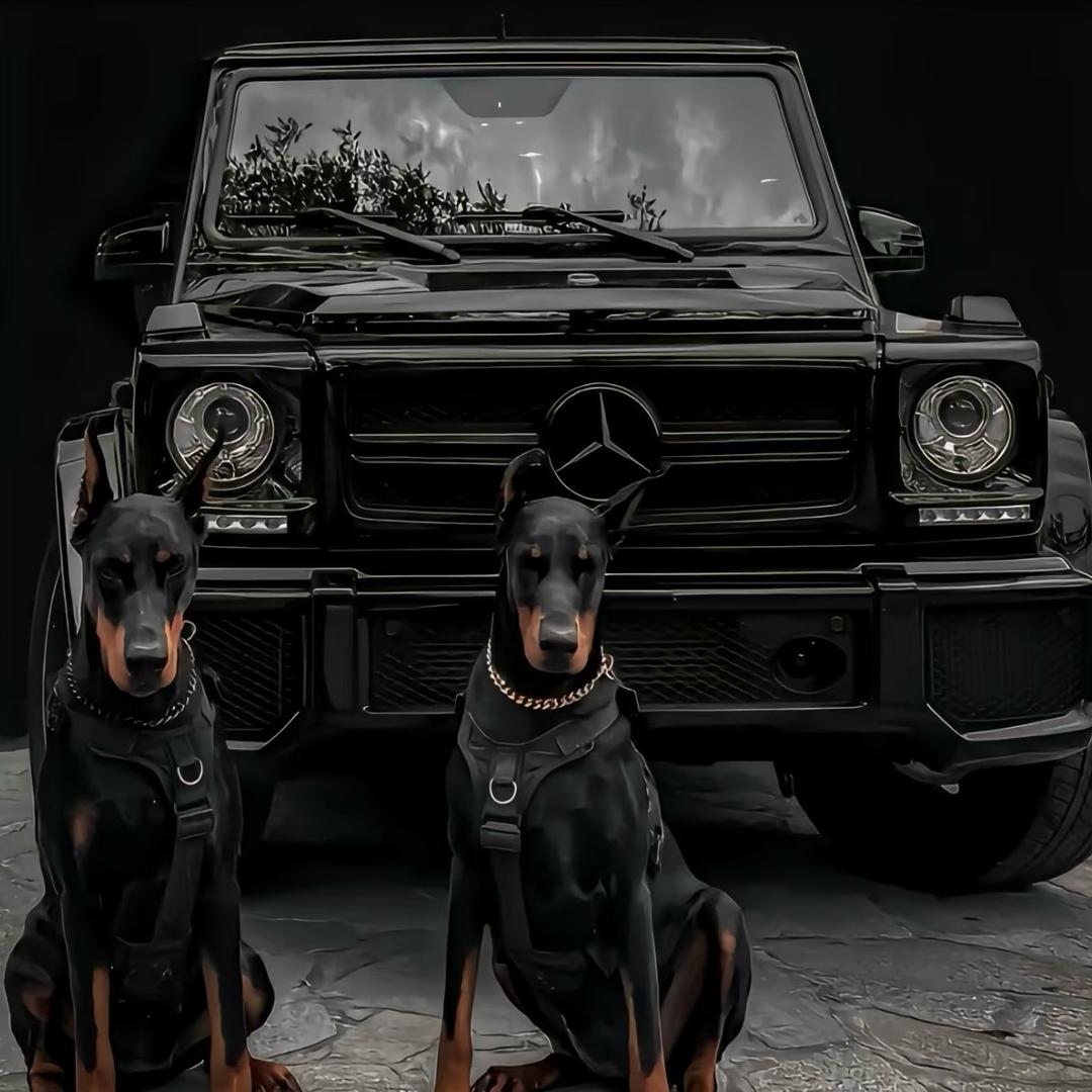 VIC高奢舱🇮🇹含含