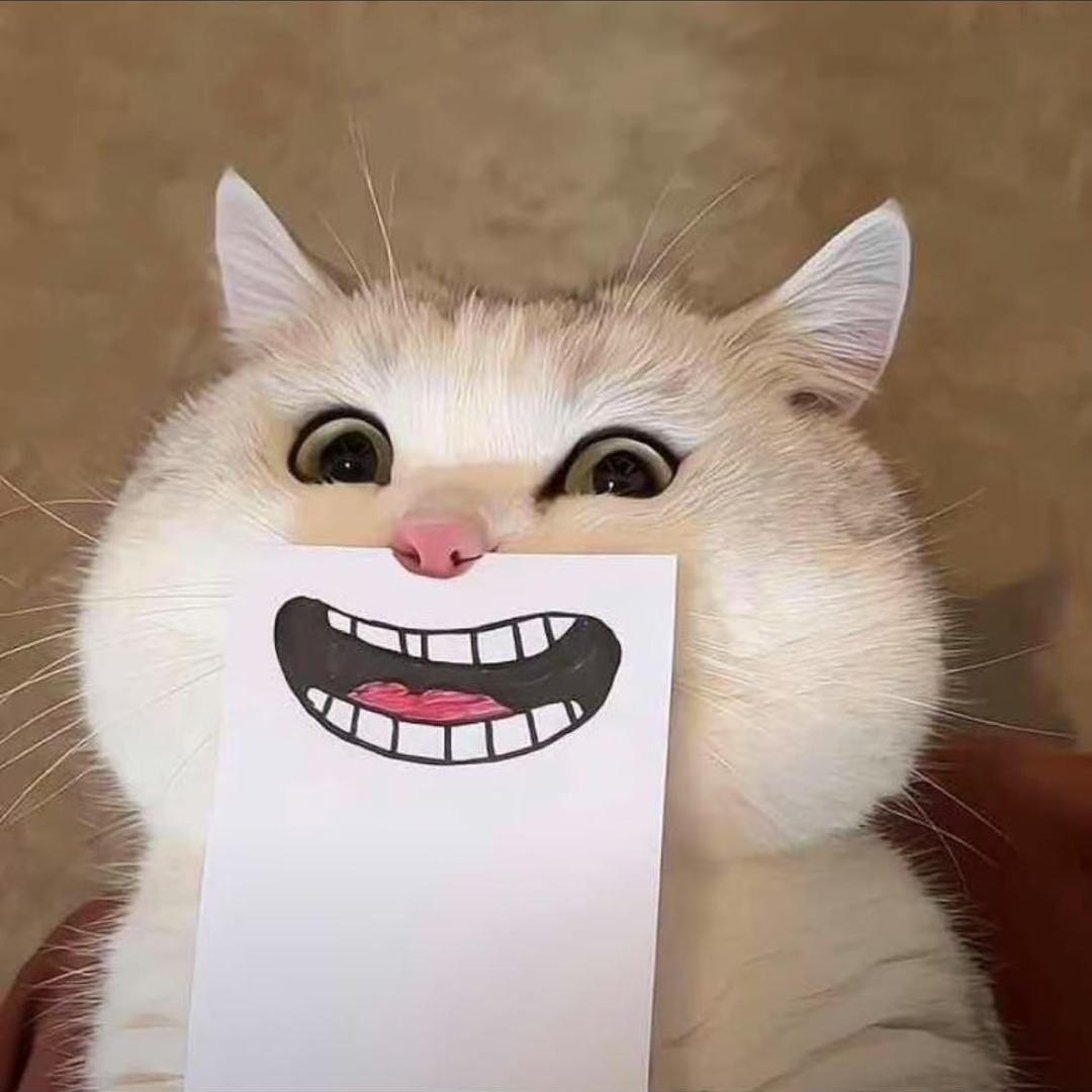 姚黄魏紫生活超市