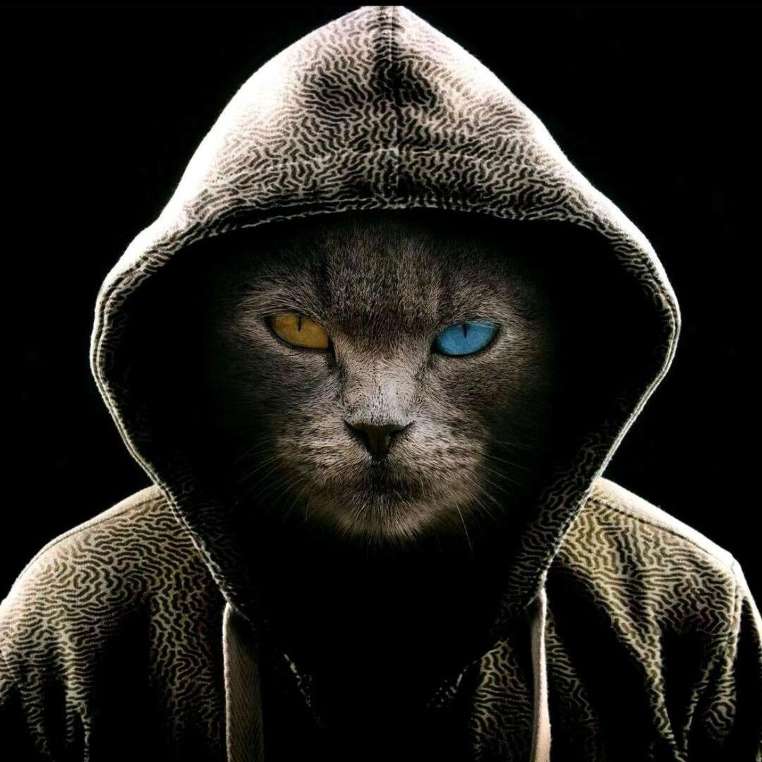 怪癖（王者荣耀）