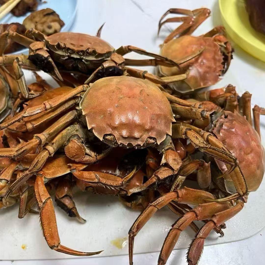盘锦佩宇精品河蟹