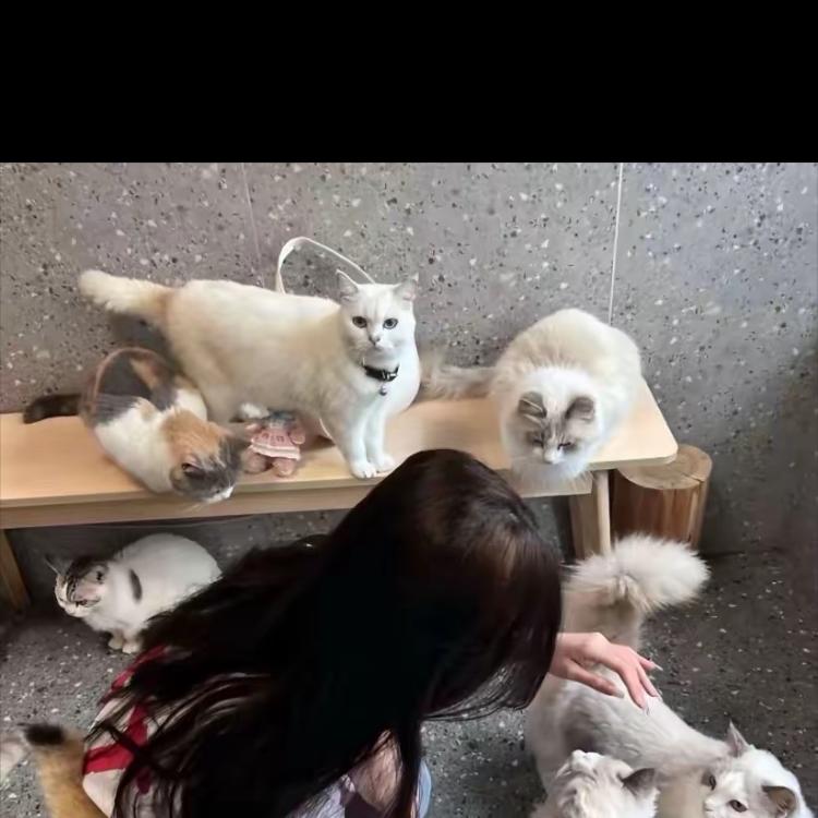 鑫人臻选阁