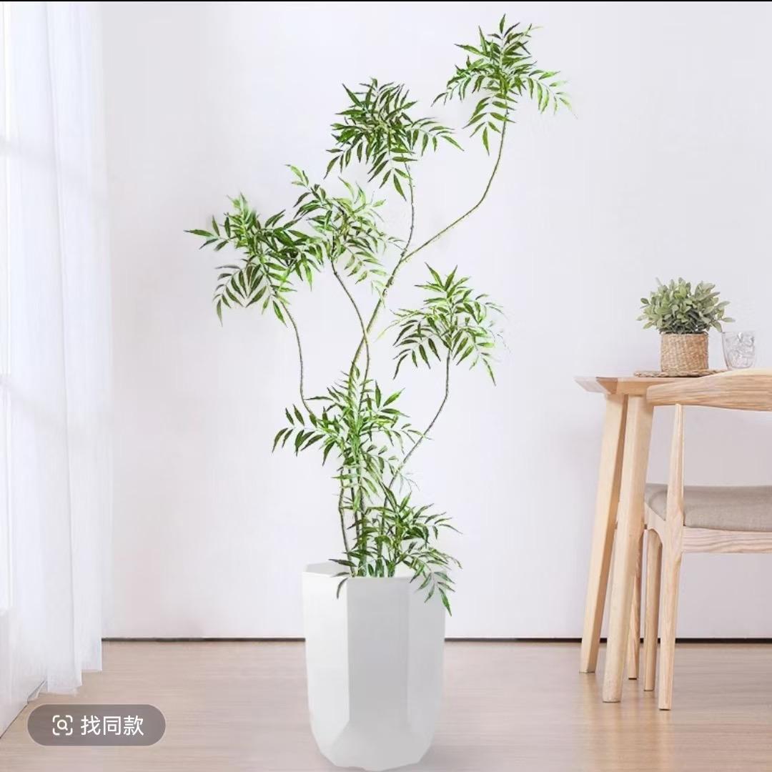 青佑堂花卉经营部