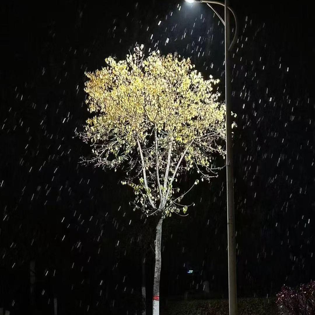 ♡̶҉酷辣♡̶小妞♡̶҉ ʚ᭨ᮩ