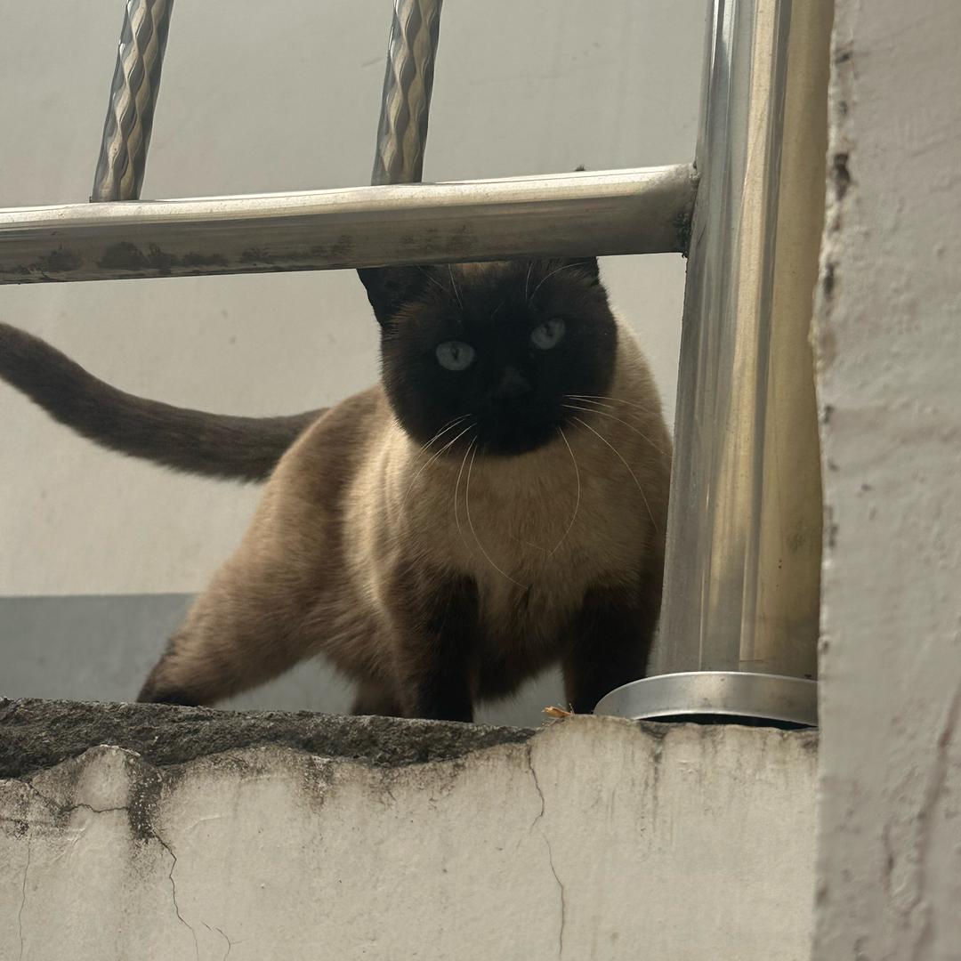 💋花花💋(#^.^#)