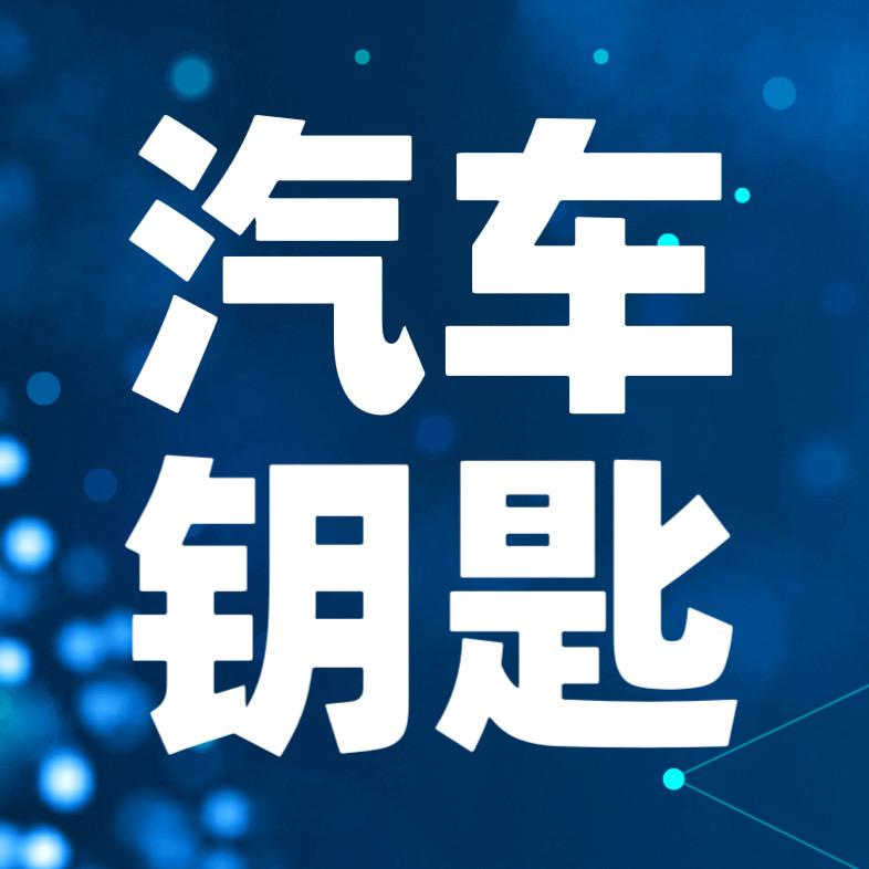 重庆配汽车钥匙（快准车服）