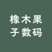 橡木果子数码配件