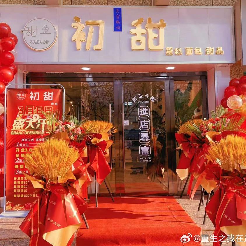 重生之我在武山卖蛋糕🍰