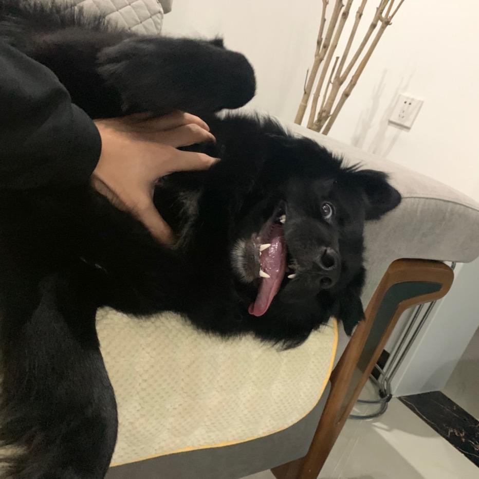 少 时 〃