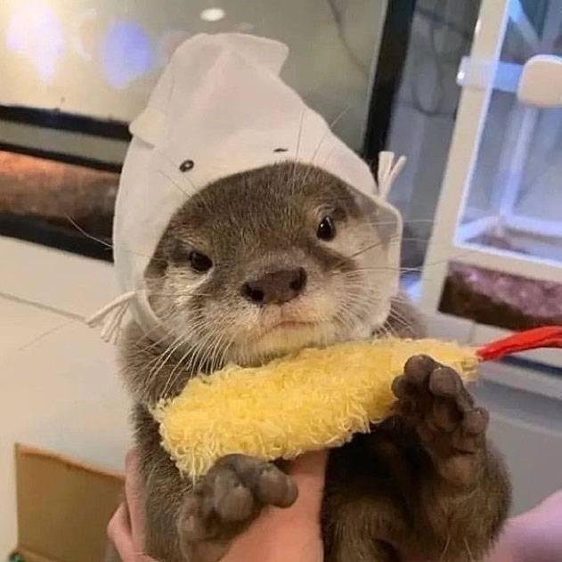 🆆🅸🅳🅳🅴🆁🦦