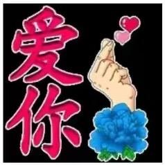 星月组合