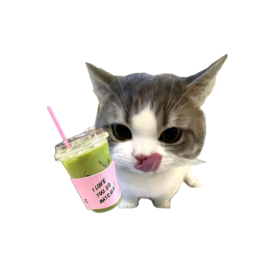 芋泥宝宝