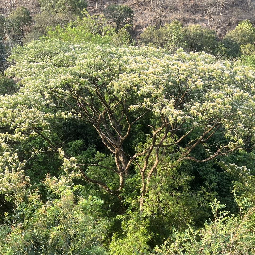 七彩云南果蔬店
