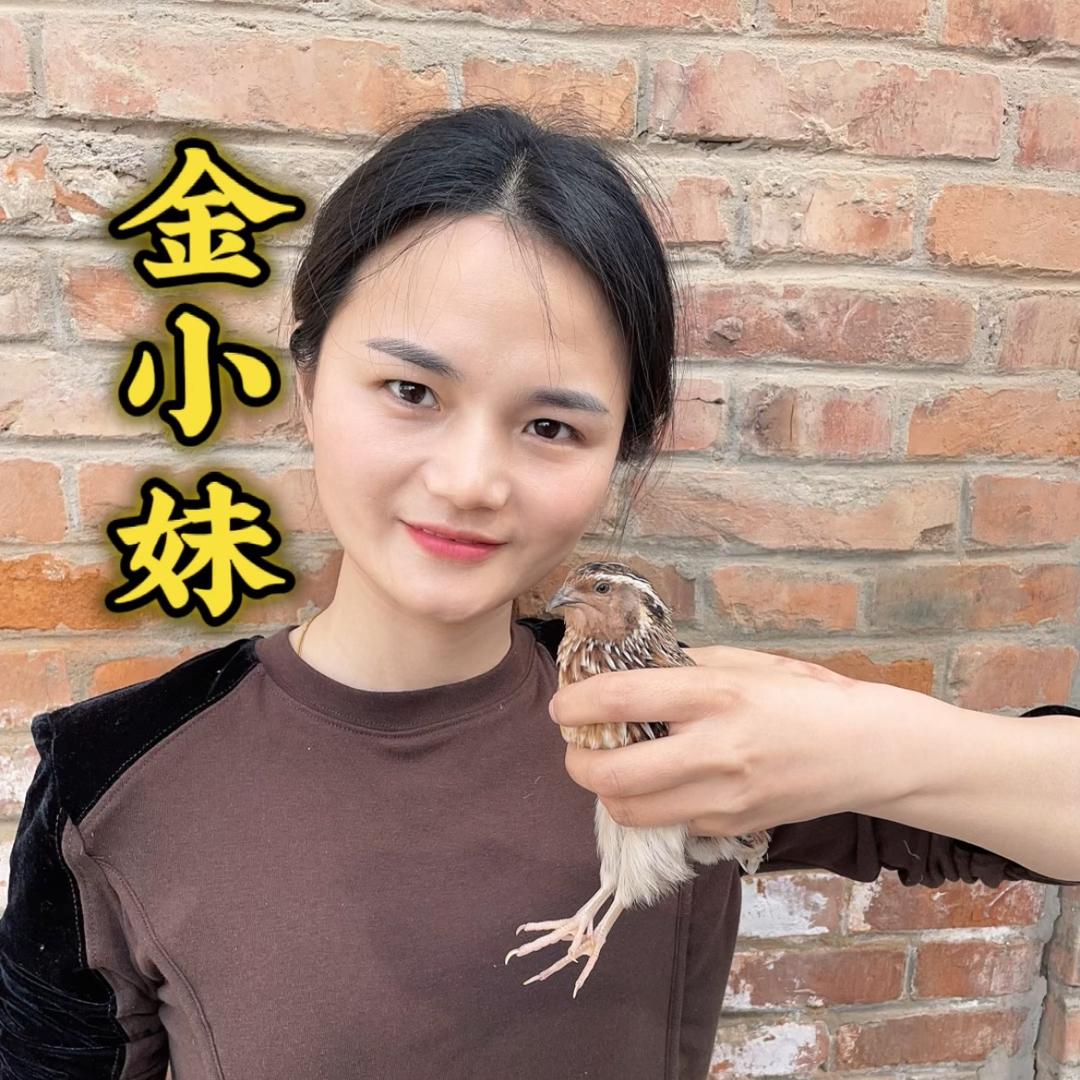 金小妹 精品斗鹌鹑