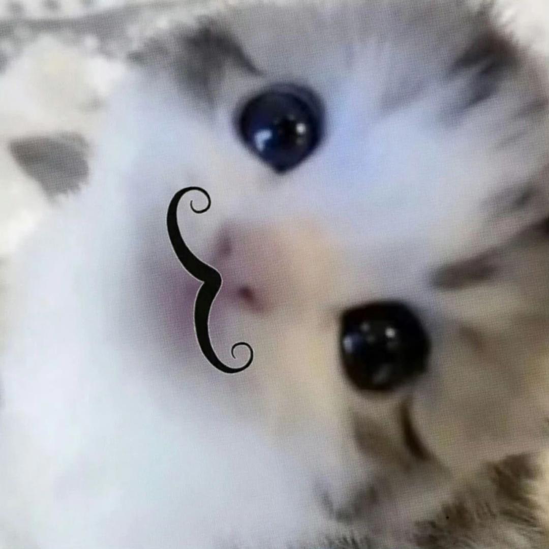 𐌃𐌏𐌍'𐌕 𐌋𐌄𐌀𐌖𐌄
