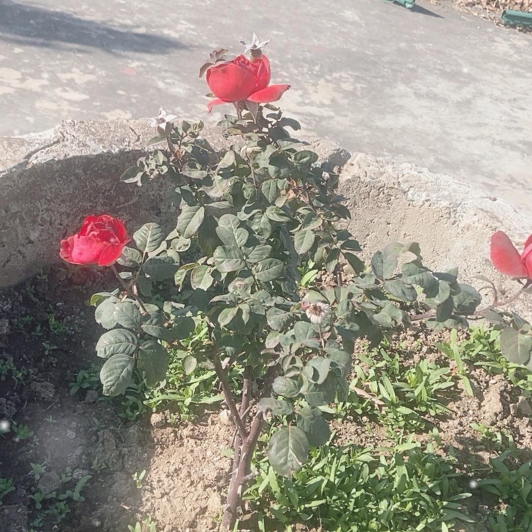 向云端，山那边，海里面（橱窗好物）