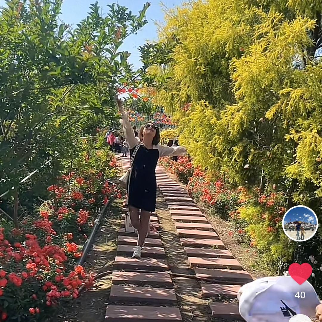 🍭超级棒棒糖🍭