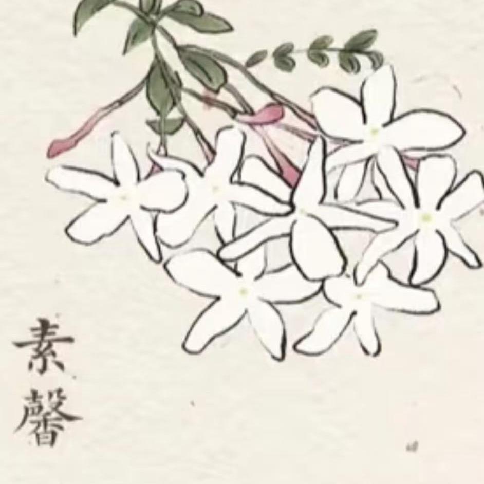 好蔬菜种子店