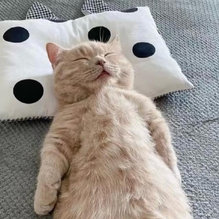 伤