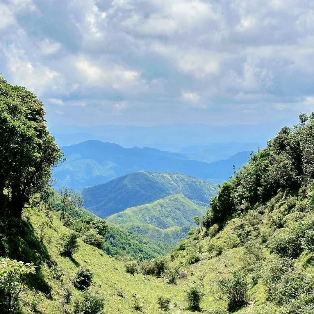 亮亮生鲜明日达
