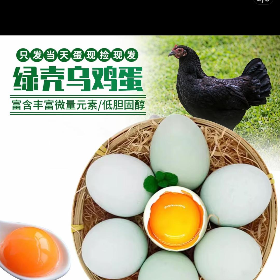 文文爱生活