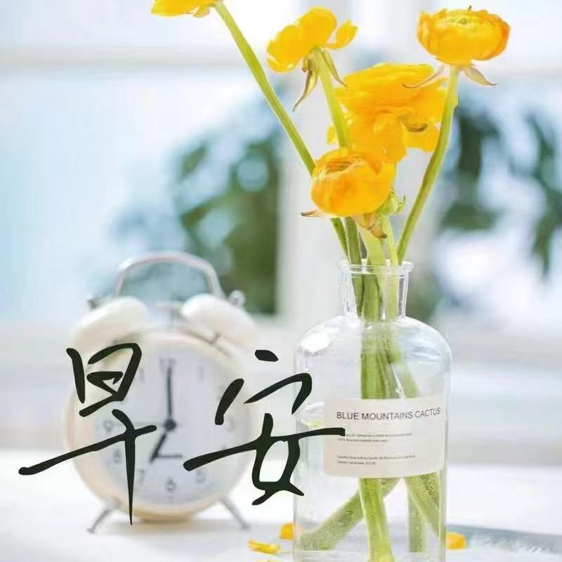 听（晨善）