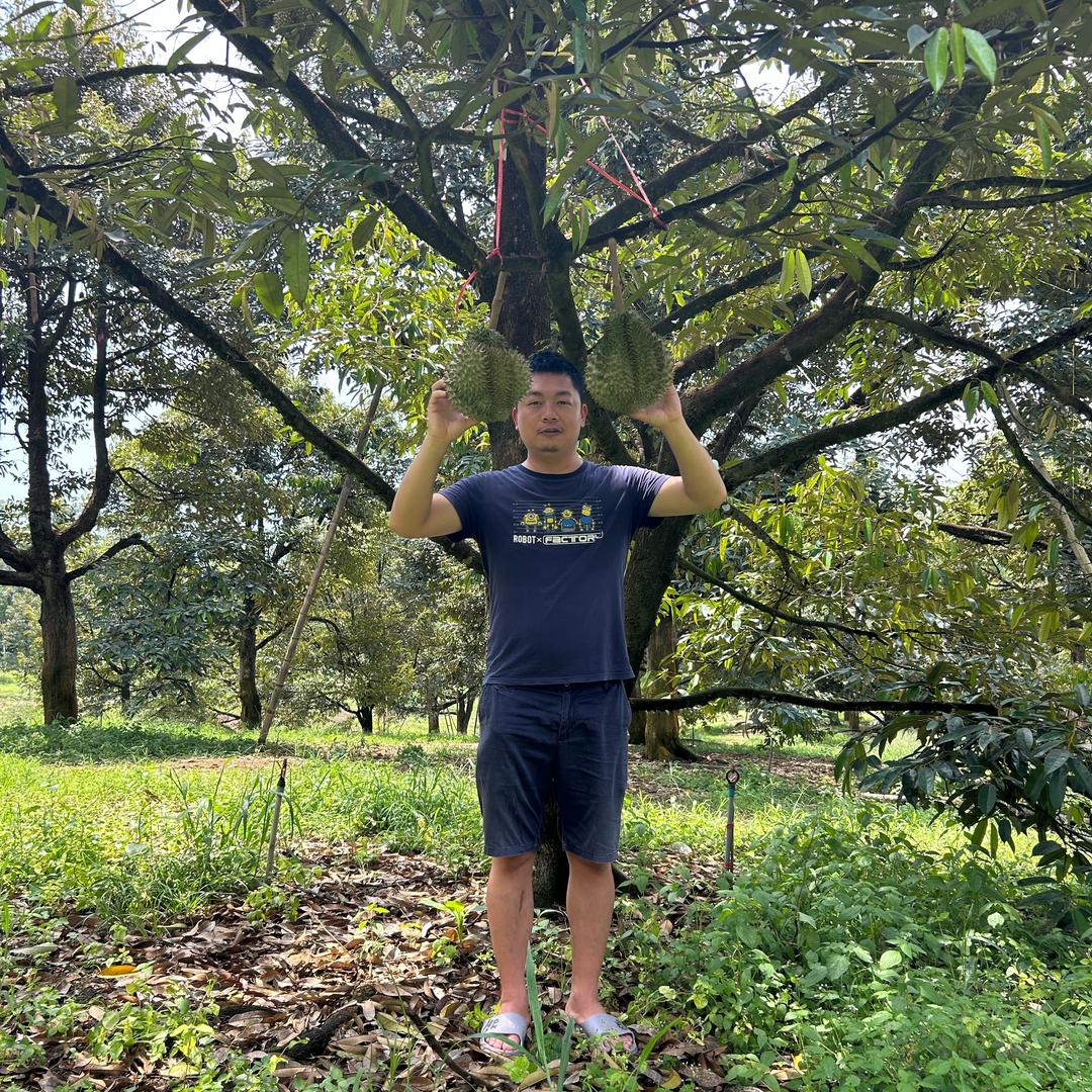 鱼小武榴莲批发直播号