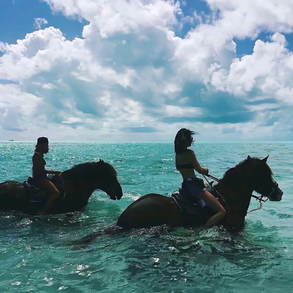 天线短路宝宝🌱🌈